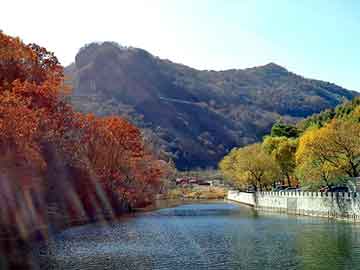 澳彩资料免费长期公开，莱芜禽流感